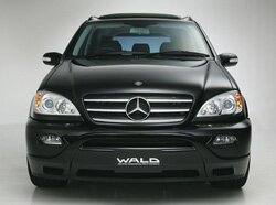 Mercedes-Benz CLK от Wald